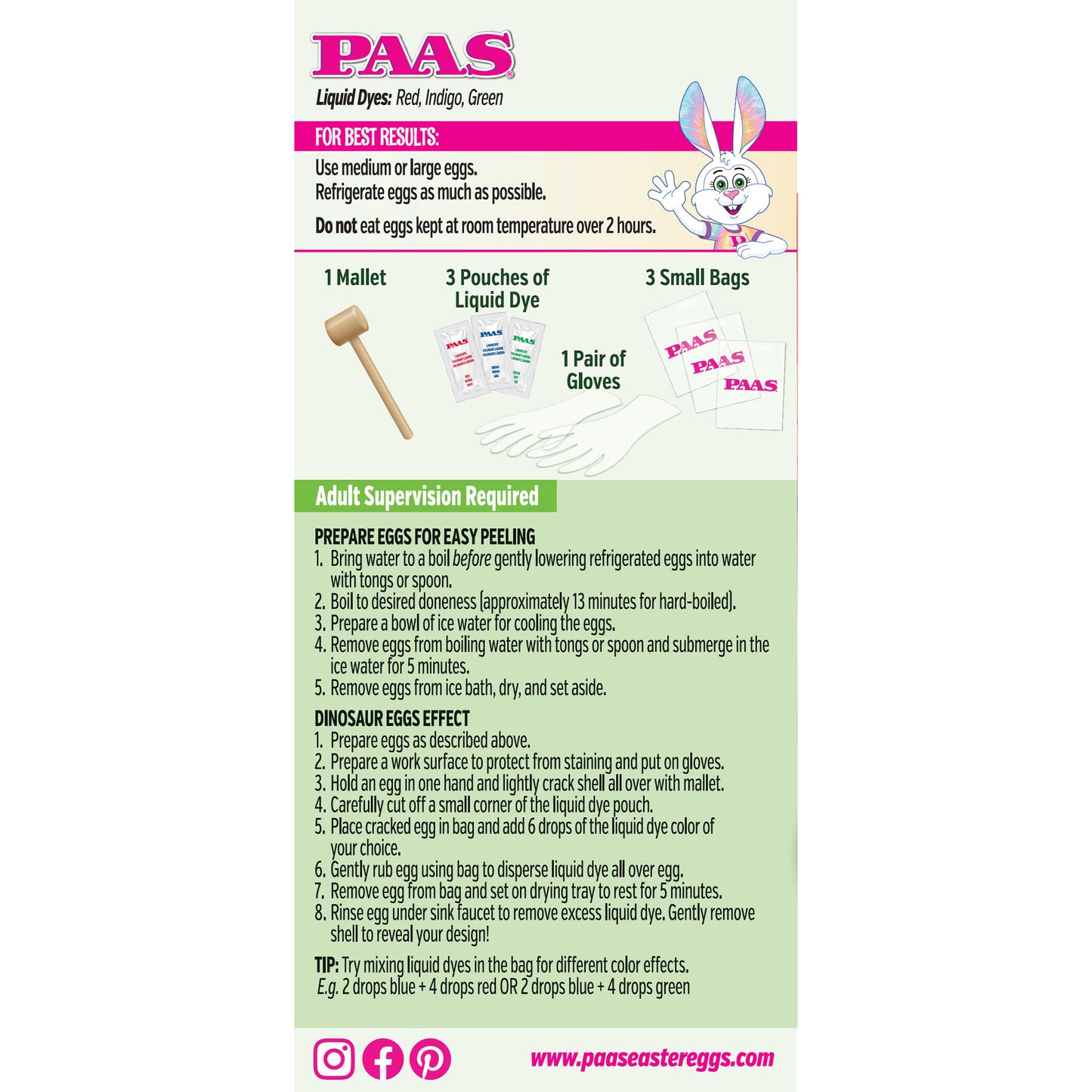 Dinosaur Eggs Easter Egg Decorating Kit