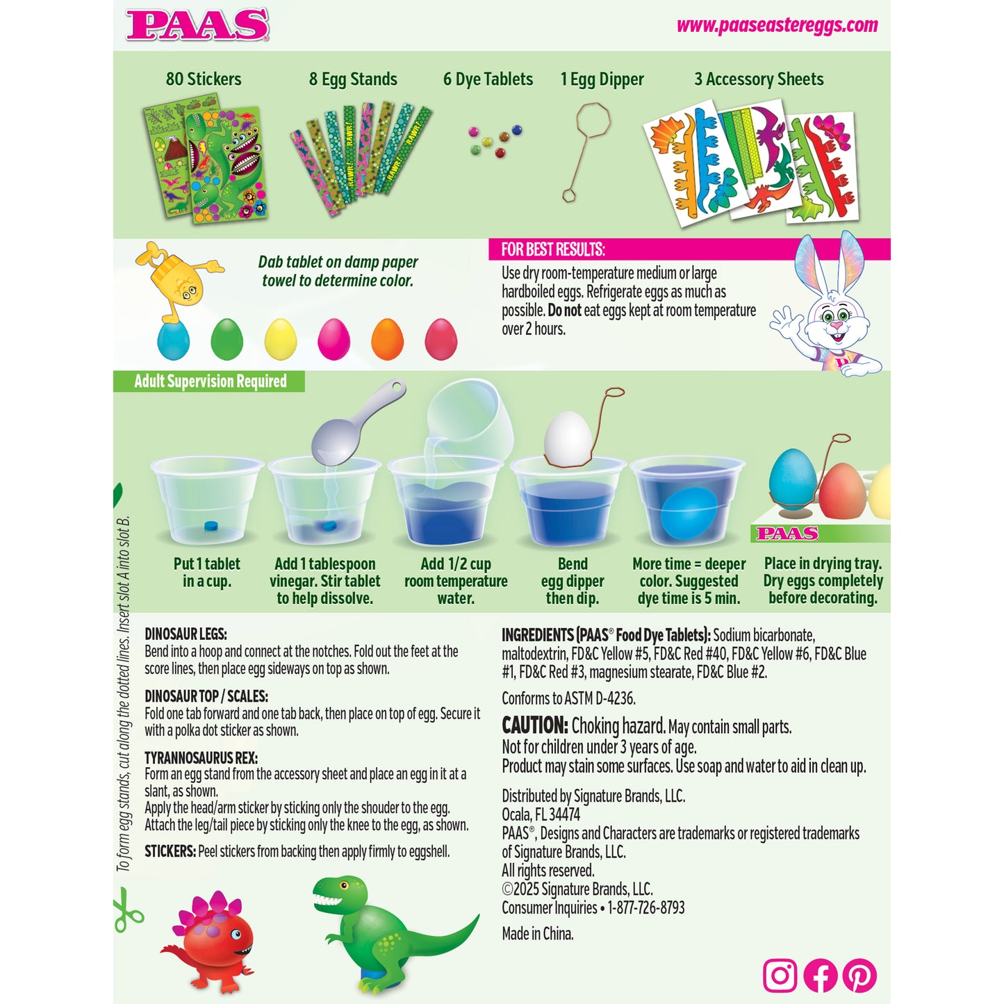 Dino Egg Decorating Kit